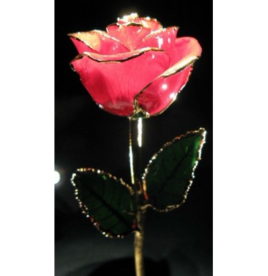 Best Gift Valentine roses